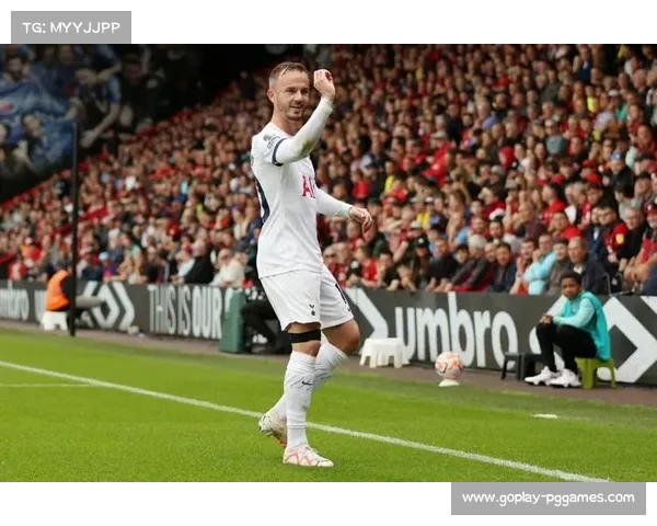 伯恩茅斯表现亮眼 强势跻身积分榜前列 伯恩茅斯表现亮眼 强势跻身积分榜前列